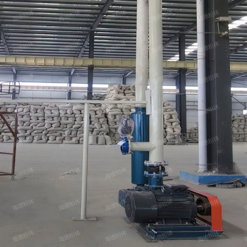 High pressure roots vacuum pump