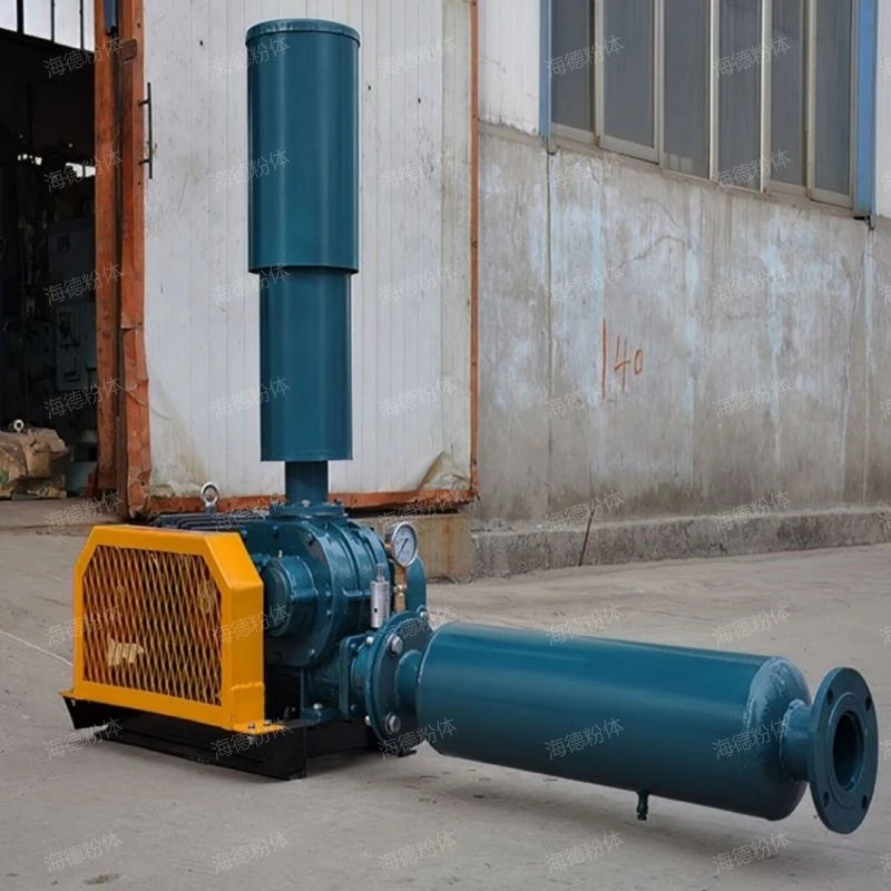 High flow Roots vacuum pump system