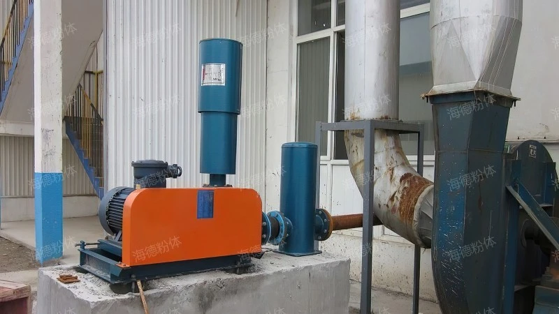 High flow Roots vacuum pump system