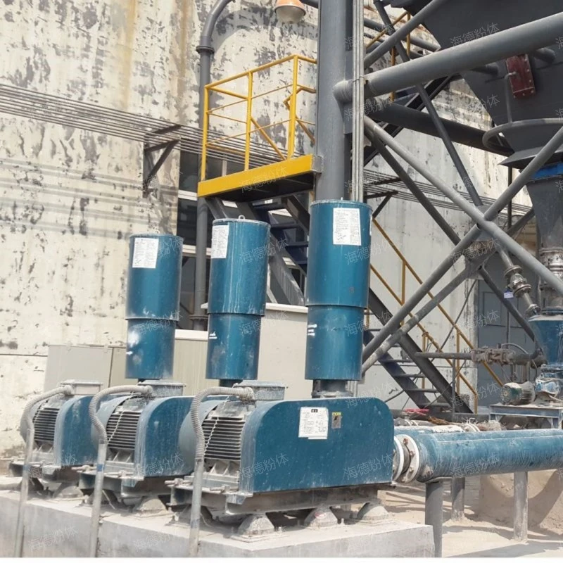 Three leaf Roots blower for biogas pressurization