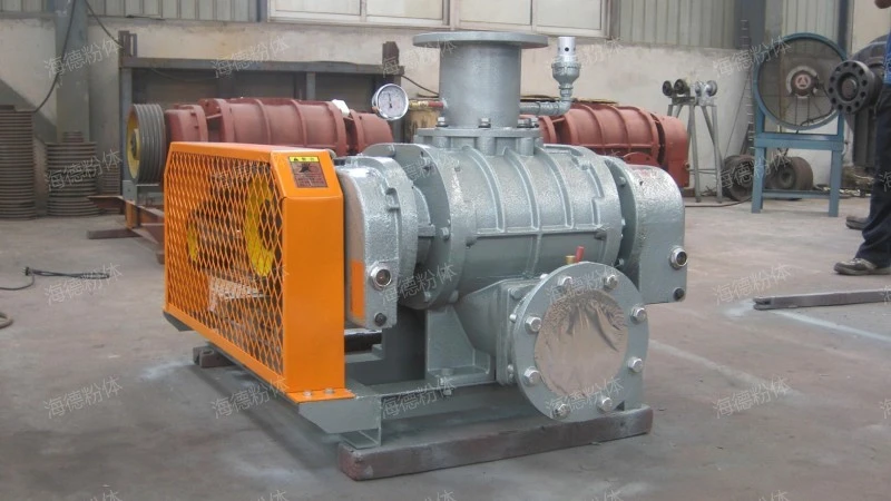 High flow Roots vacuum pump system